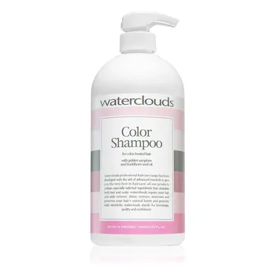 Waterclouds Color Shampoo šampón na ochranu farby