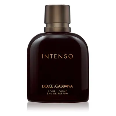 Dolce&Gabbana Pour Homme Intenso parfumovaná voda pre mužov