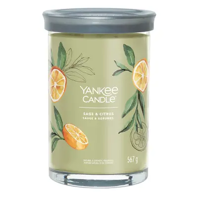 Yankee Candle Aromatická sviečka Signature tumbler veľký Sage & Citrus g