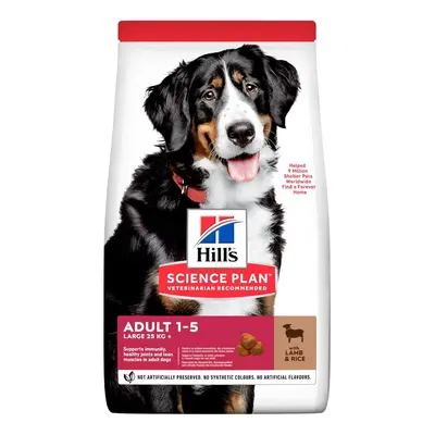 Hill's Science Plan Adult Large Breed krmivo pre psov s jahňacím a ryžou kg