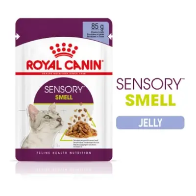 Royal Canin Sensory Smell- vlhké krmivo v želé pre dospelé mačky x g