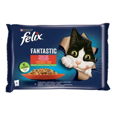 Felix Fantastic lahodný výber se zeleninou v želé - s hovädzím a kuraťom x g