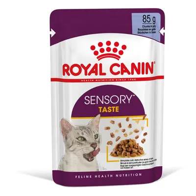 Royal Canin Sensory Taste - vlhké krmivo v želé pre dospelé mačky x g