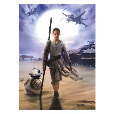 Komar Papierová fototapeta STAR WARS Rey, x cm